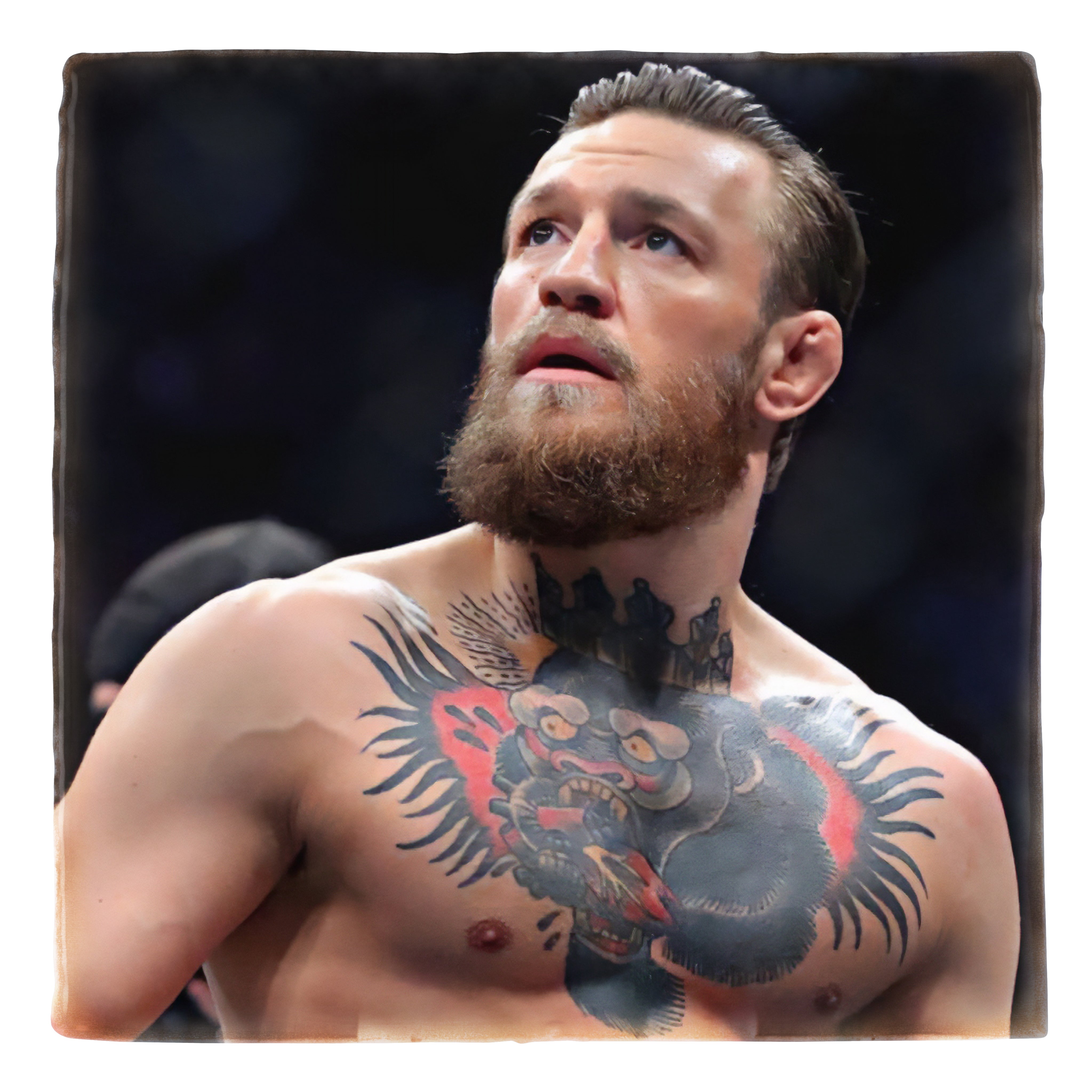 Conor McGregor Look up (1)