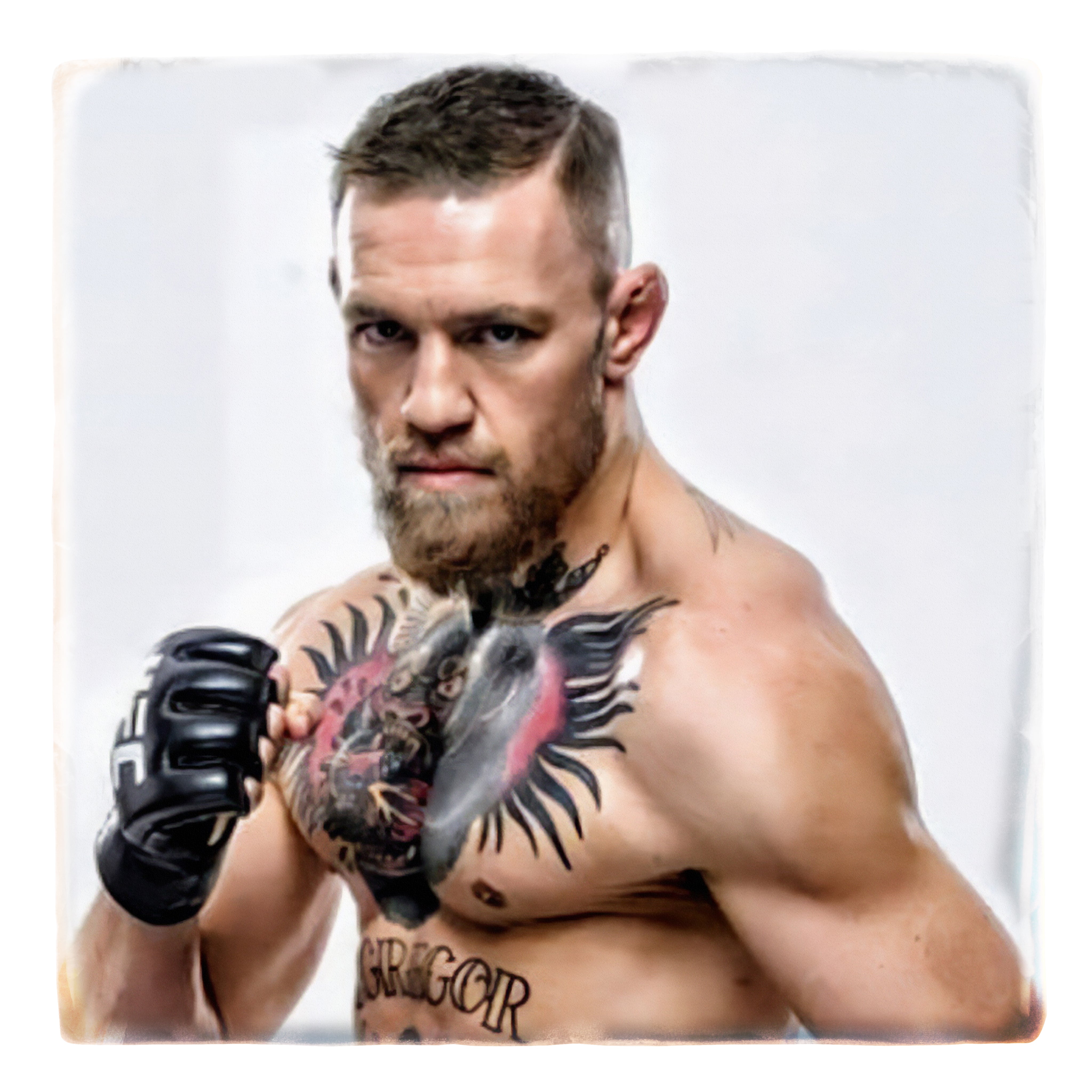 Conor McGregor Punch (2)